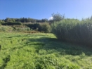 Vendita - Terreno edificabile - Genzano di Roma - esterno