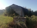 Vendita - Rustico - Velletri - esterno