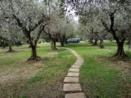 Vendita - Villa - Velletri - esterno