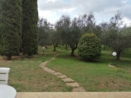Vendita - Villa - Velletri - esterno