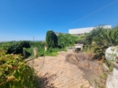 Vendita - Villa - Velletri - esterno