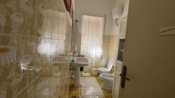 Affitto - Appartamento - Velletri - bagno