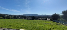 Villa | Nemi | Roma | Lazio | Vendita a Nemi: Porzione di Villino Unico Livello con Giardino Panoramico