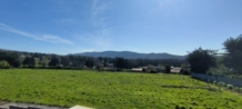 Vendita - Villa - Nemi - esterno