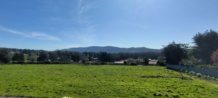 Vendita - Villa - Nemi - esterno